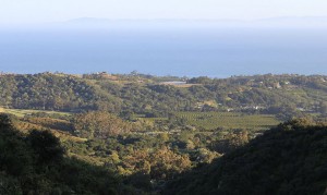 Upper Village Montecito